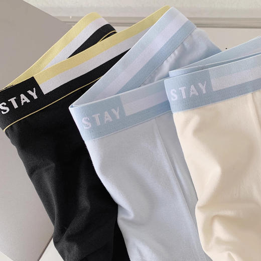 男士内裤男夏季莫代尔棉中腰平角裤透气吸汗大码无痕男生抗菌 商品图2