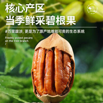三只松鼠碧根果 每日坚果炒货干果进口休闲零食小吃160g/袋 /休闲食品 /坚果炒货 /长寿果/碧根果 商品图0