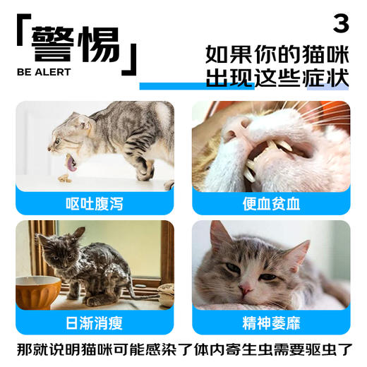【Ramical雷米高】猫咪专用驱虫芬苯达唑猫咪体内驱虫药（4片/盒） 商品图4