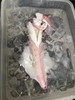 【野生】超低温  活冻手钓大管 300g-500g 商品缩略图5