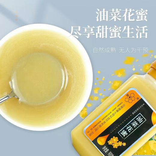 腊峰蜂业-油菜花蜜 1瓶*900g 厂家直发 商品图1