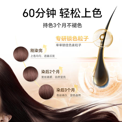 圣诗婷沙龙款植物染发剂 遮白发 自然色（无需调配 适合短发补发） 商品图5