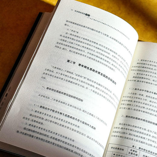 青春辉映理想之光 以“五史”教育为抓手构建高中青年师生思政共育互促机制的校本实践 商品图9