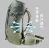 多特 男款 福特拉 1-2日徒步 登山包 Deuter Futura 商品缩略图1