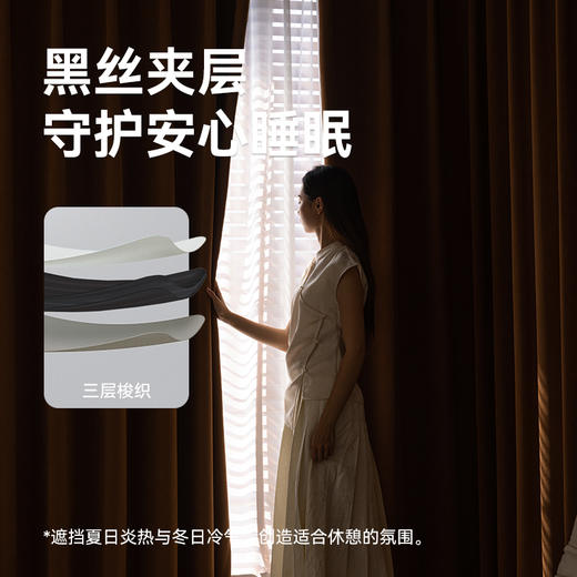 【从礼】金蝉加厚雪尼尔窗帘 商品图2