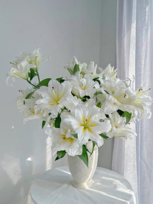 重瓣百合丨暴风雪三头 商品图1