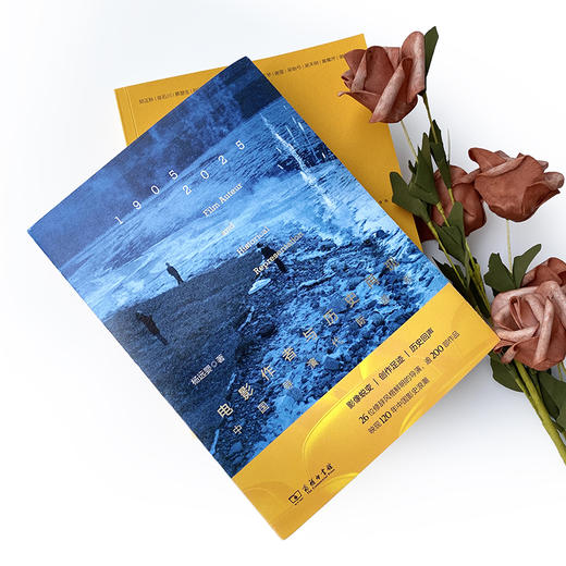 电影作者与历史再现：中国导演代际谱系 商品图5