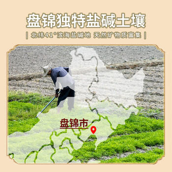 盘锦大米蟹田大米真空包装东北大米珍珠米2斤当季新米 /粮油调味 /米 /珍珠米 商品图2