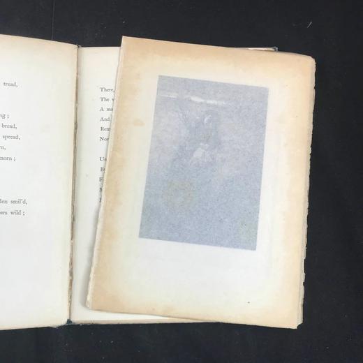 1898年 戈德史密斯《荒弃村庄》 12幅插图 漆布精装32开 商品图2