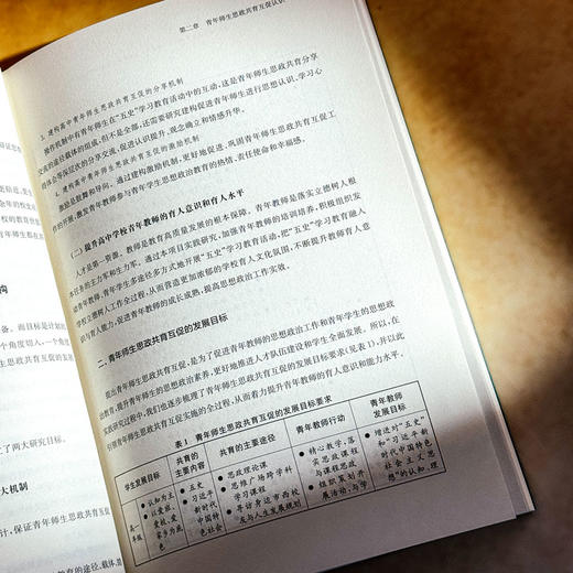 青春辉映理想之光 以“五史”教育为抓手构建高中青年师生思政共育互促机制的校本实践 商品图10