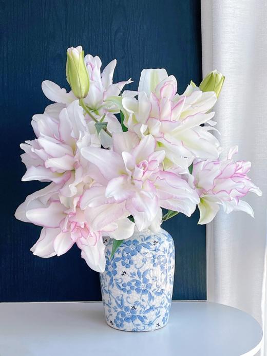 重瓣百合丨冰美人三头 商品图2