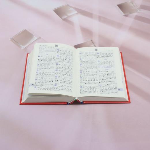 学生实用新华字典 商品图4