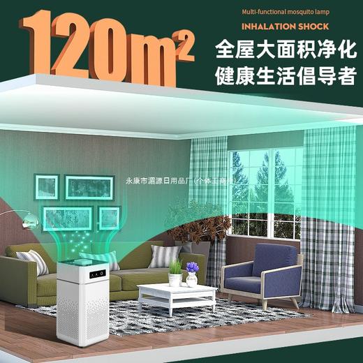 【秒吸甲醛+宠物毛发克星🐾】新房入住必备神器！1小时净化全屋空气，告别异味&二手烟💨90天免费试用，健康生活从此开启✨吸二手烟空气净化器 宠物吸猫咪毛除甲醛除异味除臭空气换气机 商品图9