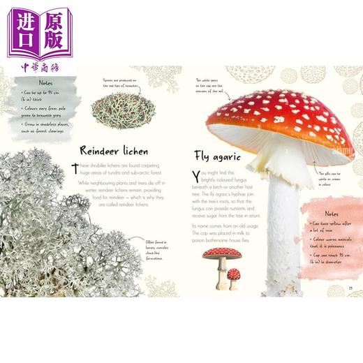 【中商原版】DK真菌选集 An Anthology of Fungi 英文原版 儿童科普绘本 一本精美的野外指南 知识百科图画书 进口童书 精装 商品图1