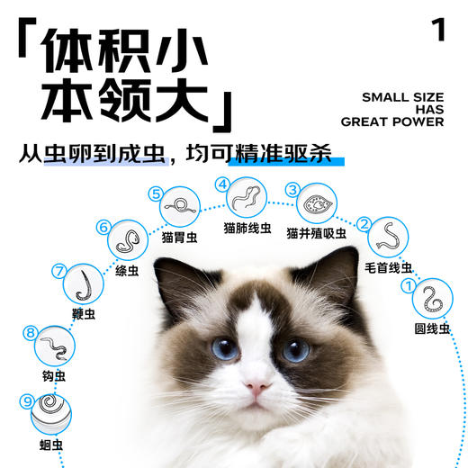 【Ramical雷米高】猫咪专用驱虫芬苯达唑猫咪体内驱虫药（4片/盒） 商品图2
