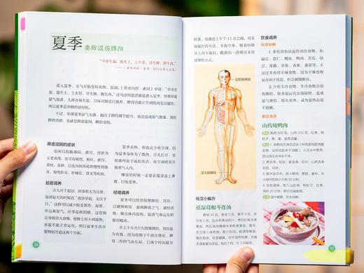 【有声版】《家庭养生指南全书（黄帝内经×本草纲目）》（全4册）| 医学博士、药理专家专业解读中医典籍，传统食养+穴位调养+滋补名方，随翻、随查、随听、随读，人人都能看得懂、用得上 商品图5