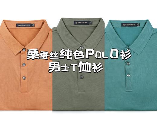 【 1件/119  2件199】占姆士男士净色桑蚕丝翻领短袖POLO衫 一款三色 商品图0