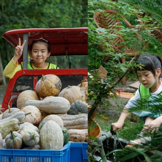 有机农场夏令营，即将启程！ | 农园活动 * Summer camp | Farm activities 商品图4