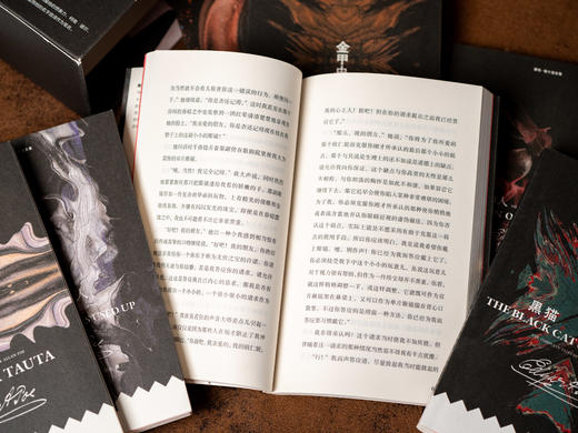 《爱伦·坡小说全集》（全7册） 侦探小说鼻祖、科幻小说先驱、恐怖小说大师，心理小说开创者。 商品图5