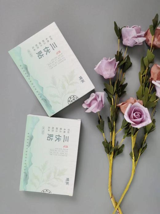 ✨【瑶辰三伏贴】 商品图9