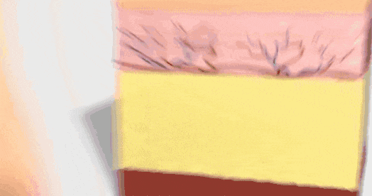 今年夏天最火的“降温神器”？竟然不是空调！