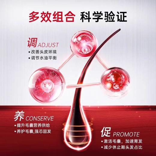 H卡蓓诺防脱洗发水（男士专用）350ml【宝库优选】 商品图2