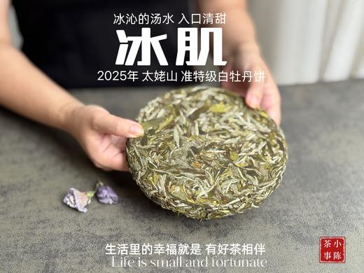 【新茶上市】《冰肌》2025准特级白牡丹饼，又清，又鲜，又香，冰雪微甜，清雅不可方物（1饼收藏装） 商品图4