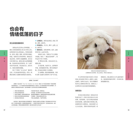 狗狗家庭医学百科 商品图1