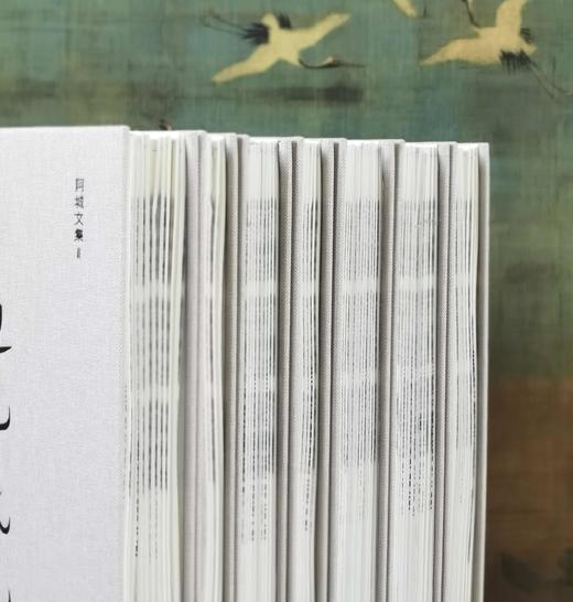 毛边+布面精装：《阿城文集》，32开，布面精装，全7册一函，阿城著，汉唐阳光出品，贵州人民出版社2025年版，印次不详，定价496元，售价：396.8元。 商品图5