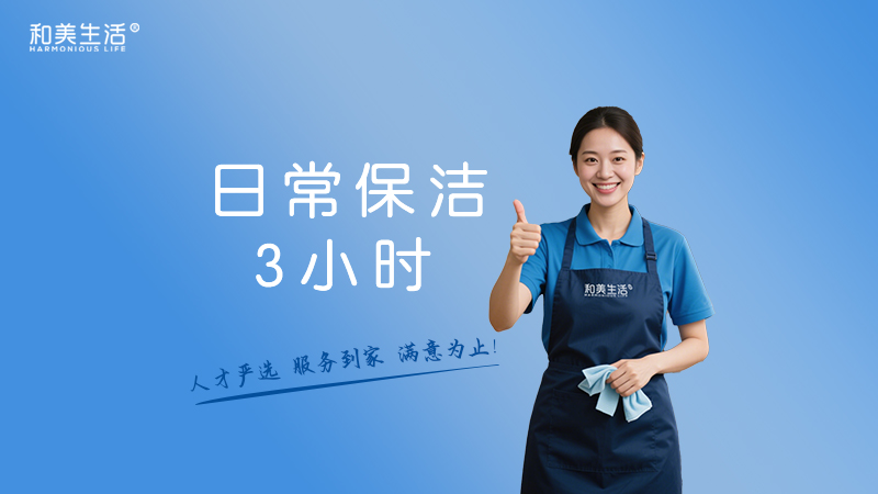 日常保洁(不含擦窗家电拆洗)