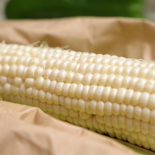 生态水果玉米（四川） | 合作生产*Ecological fruit corn | Partner Production 商品图5