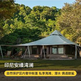 3晚/5晚【印尼安缦湾澜 | Amanwana | 实时代订】最长可用至26年3月！3晚潜水/住5付4套餐可选，享每日三餐、专车快艇往返接送、度假村免费活动等，体验Moyo岛上野奢帐篷、与鲸鲨同游！~