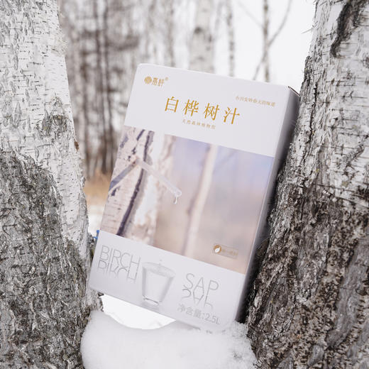 嘉桦白桦树汁天然有机小兴安岭原液原汁植物饮品专利锁鲜2.5L盒装 商品图3