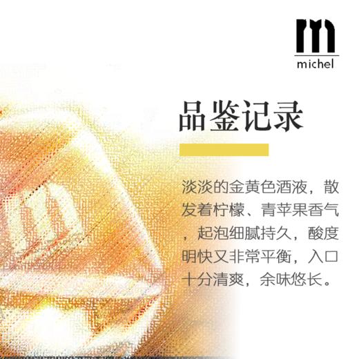 【原瓶进口】绽放花漾起泡酒 产地德国  5.5%vol 750ml*1瓶 低度易饮，口感讨喜 果香浓郁，酸甜平衡 气泡丰富，细腻持久 商品图2