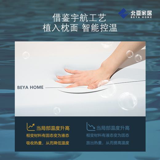 YP北亚智能记忆枕套组 商品图2