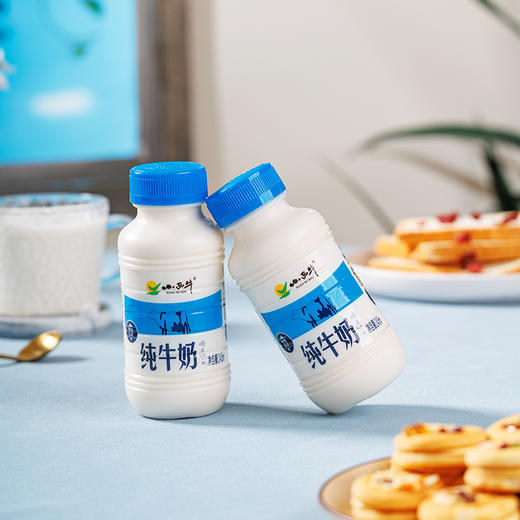 【光明&小西牛】青藏高原纯牛奶 青海牛奶 高原特色瓶装牛奶243ml*12瓶 商品图13