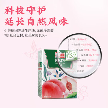 汇源100%桃汁整箱果汁健康饮料200ml*24盒节日送礼宴请 /水饮冲调 /饮料 /果蔬汁/饮料
