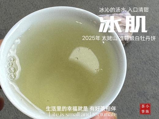 【新茶上市】《冰肌》2025准特级白牡丹饼，又清，又鲜，又香，冰雪微甜，清雅不可方物（1饼收藏装） 商品图13