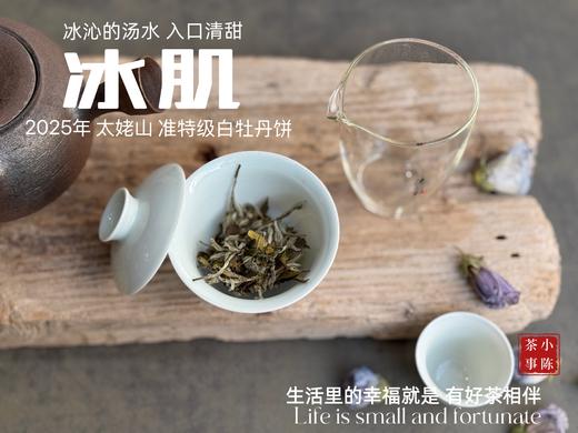 【新茶上市】《冰肌》2025准特级白牡丹饼，又清，又鲜，又香，冰雪微甜，清雅不可方物（1饼收藏装） 商品图6