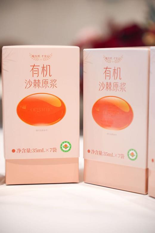 有机沙棘原浆 商品图0