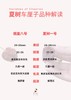 夏树 车厘子 商品缩略图9