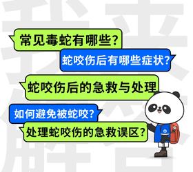  【徒步百科】户外遇「蛇咬」怎么办？（怕蛇勿进