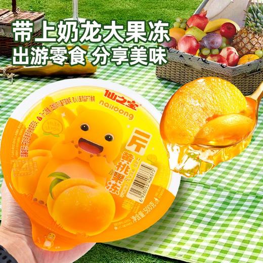 仙之宝500克什锦果冻 商品图3