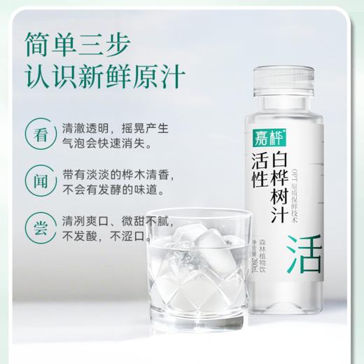 嘉桦白桦树汁OPT天然活性汁原液小兴安岭植物饮料 商品图6