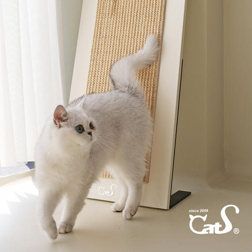 CatS魔镜立式猫抓板 大号天然剑麻猫床猫玩具实木猫家具 商品图1