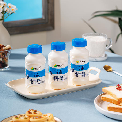 【光明&小西牛】青藏高原纯牛奶 青海牛奶 高原特色瓶装牛奶243ml*12瓶 商品图6
