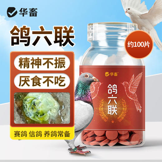 华畜鸽六联鸽子感冒水绿便歪头甩脖呕吐甩食鸽瘟流感缩头鸽子通用 商品图0