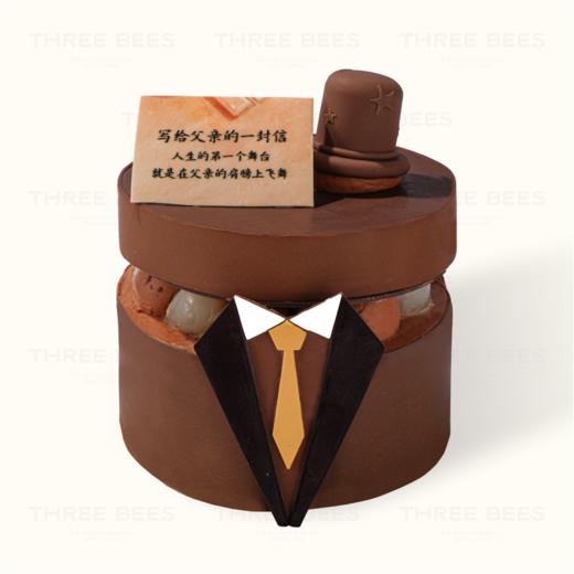 致父亲的信 商品图0