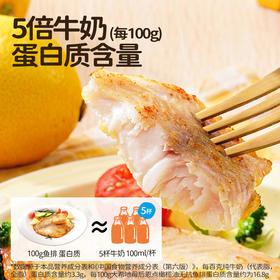 大希地 母后恩点 橄榄油无抗鱼排520g★