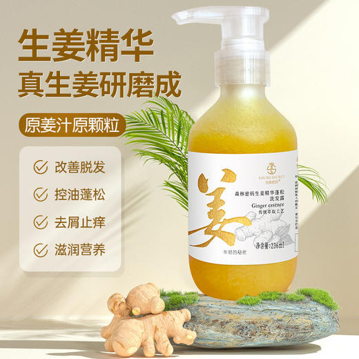 姜汁颗粒精华生姜洗发水 洗发露236ml改善掉发清爽控油蓬松去屑止痒洗发露 商品图0
